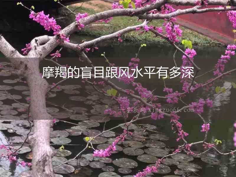 摩羯的盲目跟風水平有多深