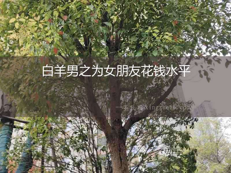 白羊男之為女朋友花錢水平