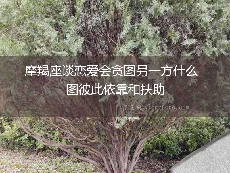 摩羯座談戀愛會貪圖另一方什么  圖彼此依靠和扶助