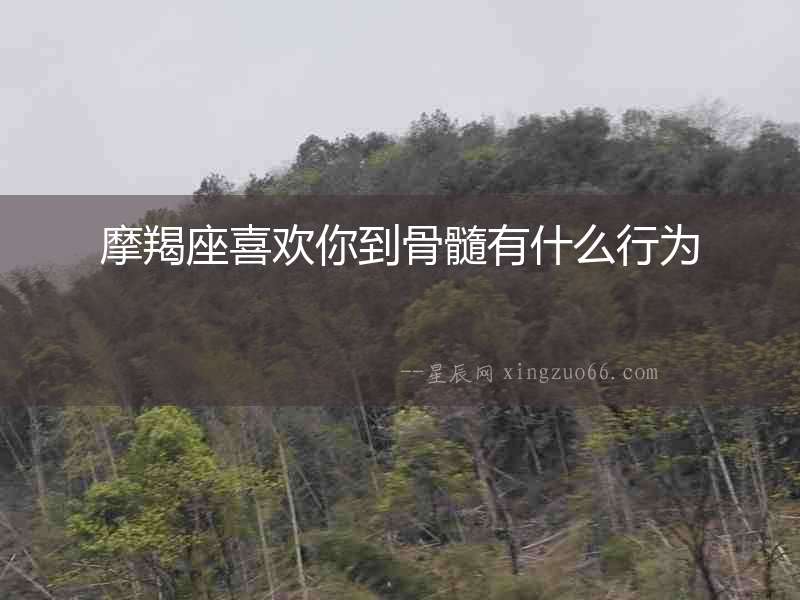 摩羯座喜歡你到骨髓有什么行為
