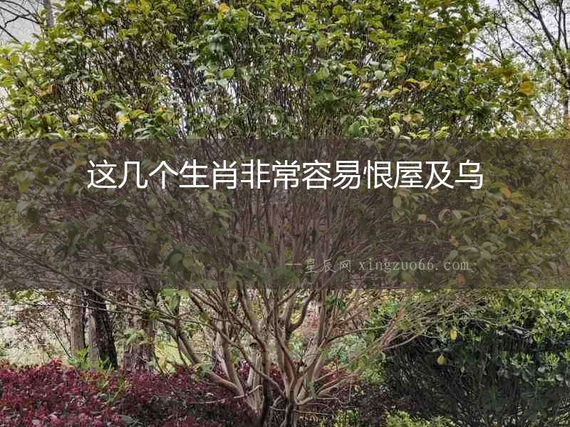這幾個生肖非常容易恨屋及烏