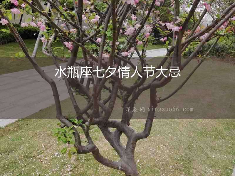 水瓶座七夕情人節大忌