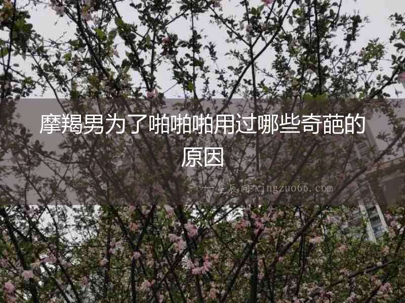 摩羯男為了啪啪啪用過哪些奇葩的原因