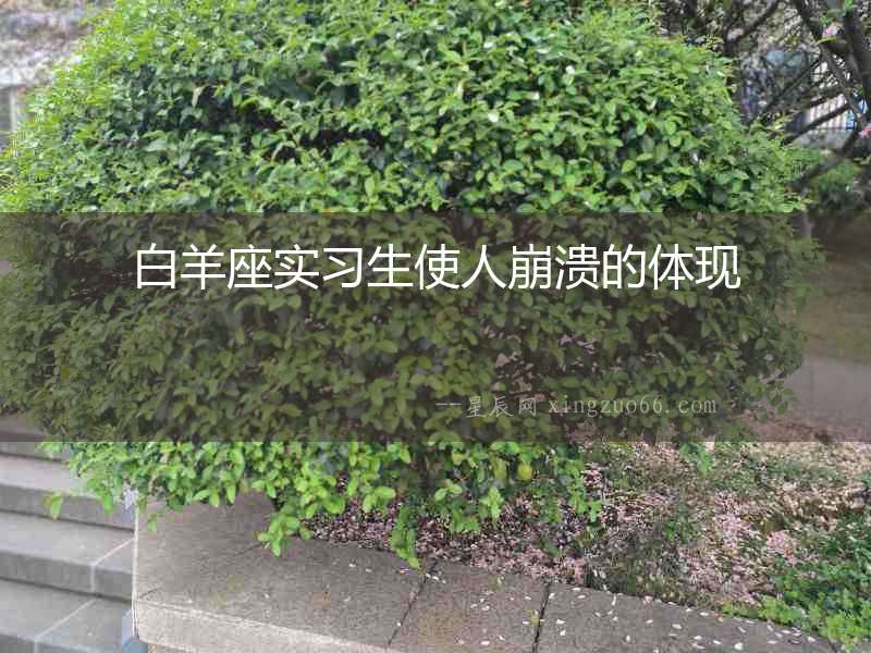 白羊座實(shí)習(xí)生使人崩潰的體現(xiàn)