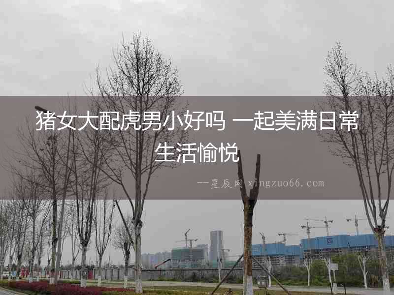 豬女大配虎男小好嗎 一起美滿日常生活愉悅