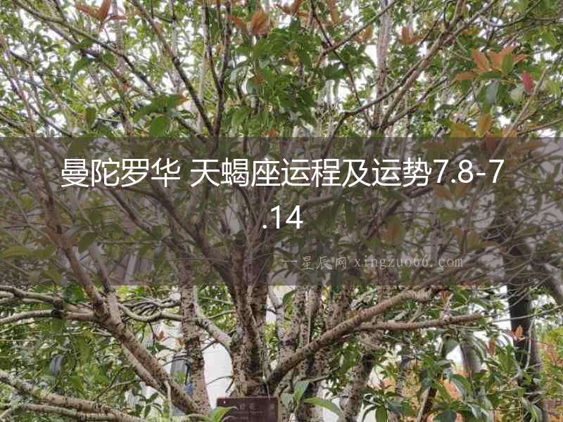 曼陀羅華 天蝎座運程及運勢7.8-7.14