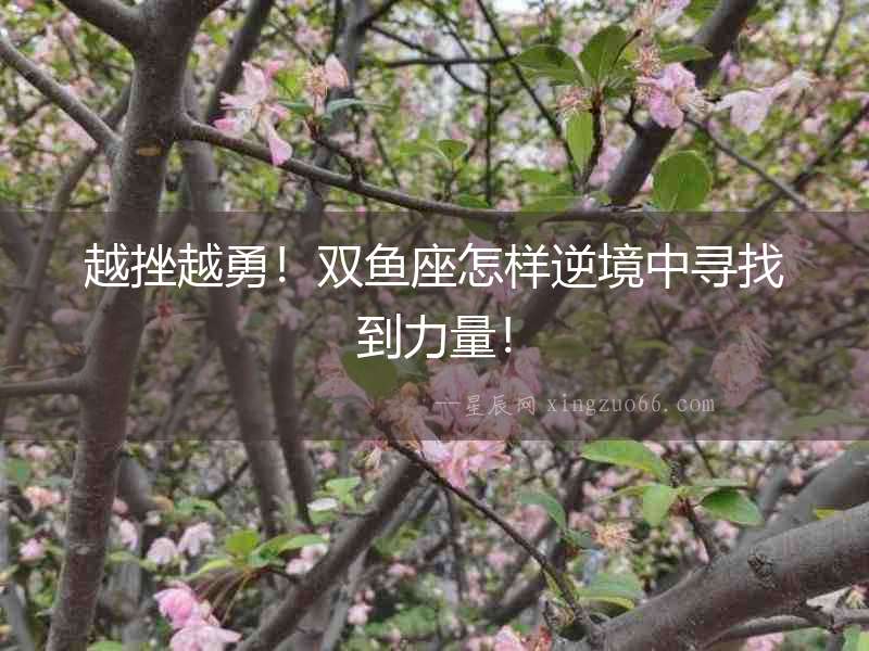 越挫越勇！雙魚(yú)座怎樣逆境中尋找到力量！