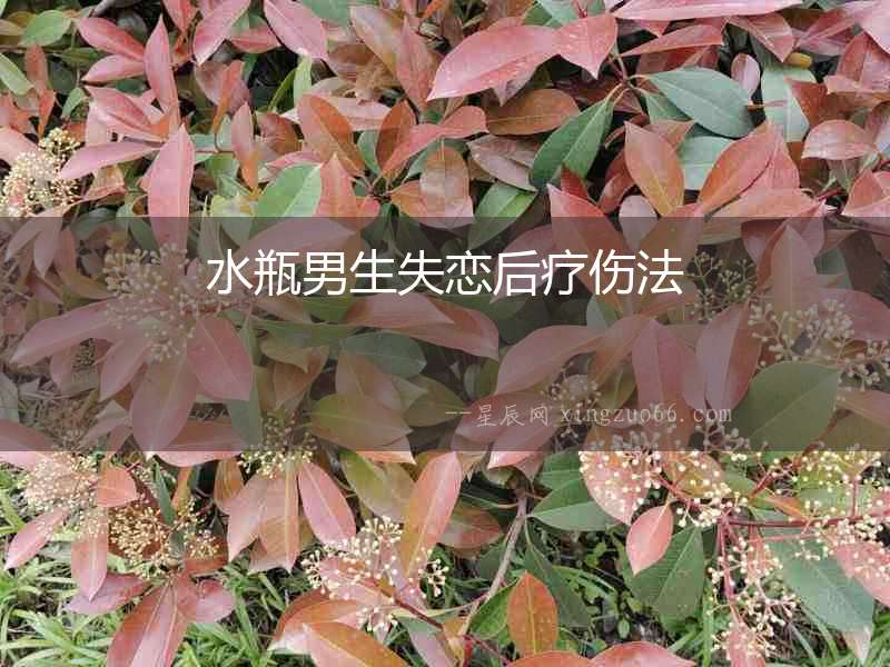 水瓶男生失戀后療傷法
