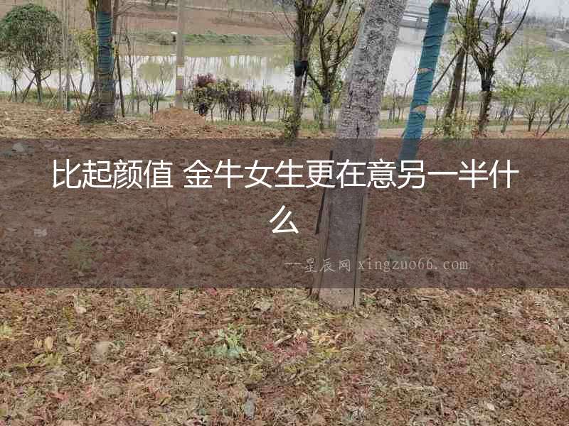 比起顏值 金牛女生更在意另一半什么