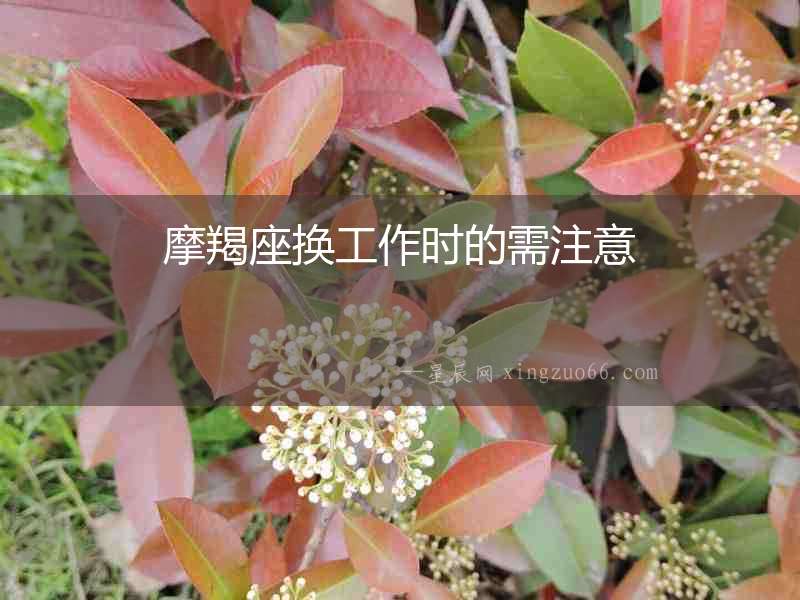 摩羯座換工作時的需注意