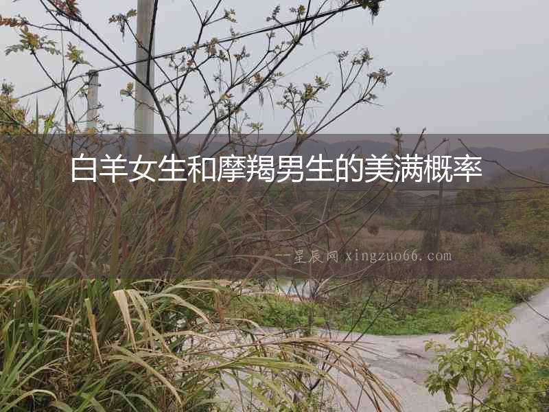白羊女生和摩羯男生的美滿概率