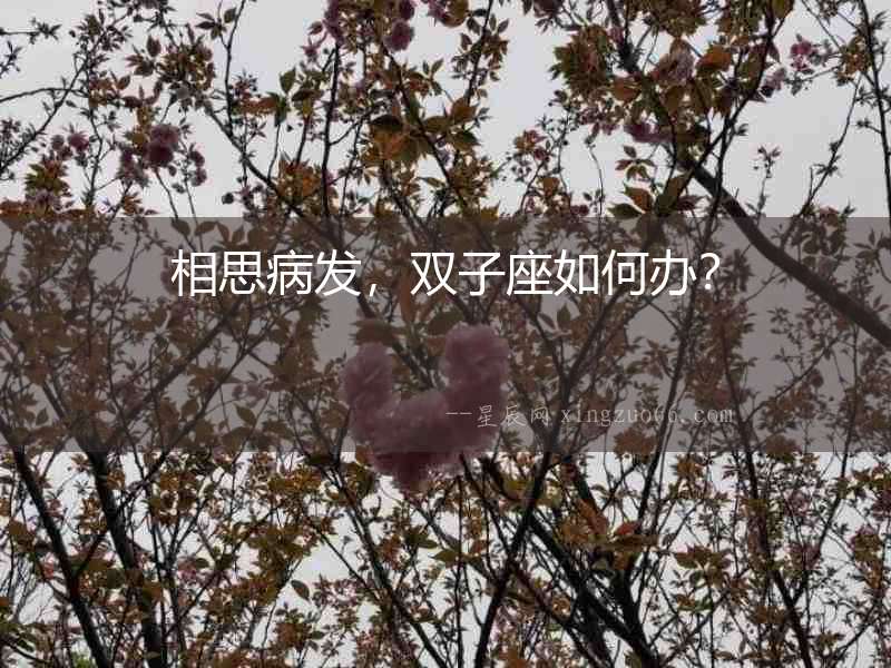 相思病發(fā)，雙子座如何辦？