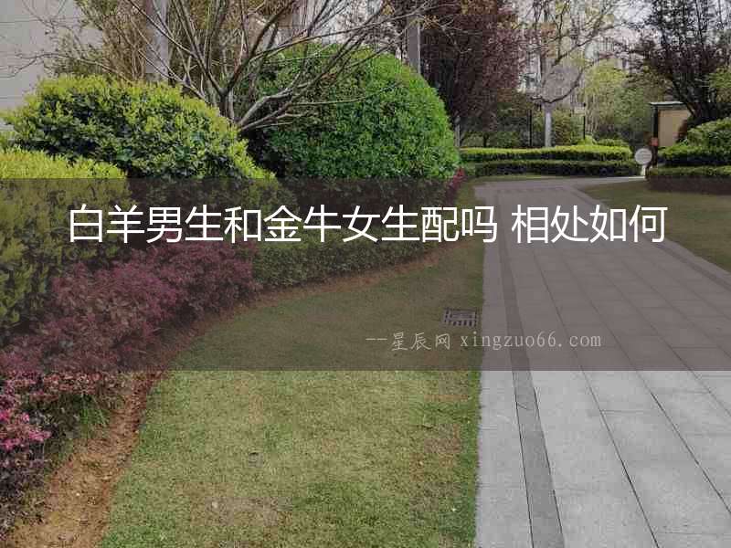 白羊男生和金牛女生配嗎 相處如何