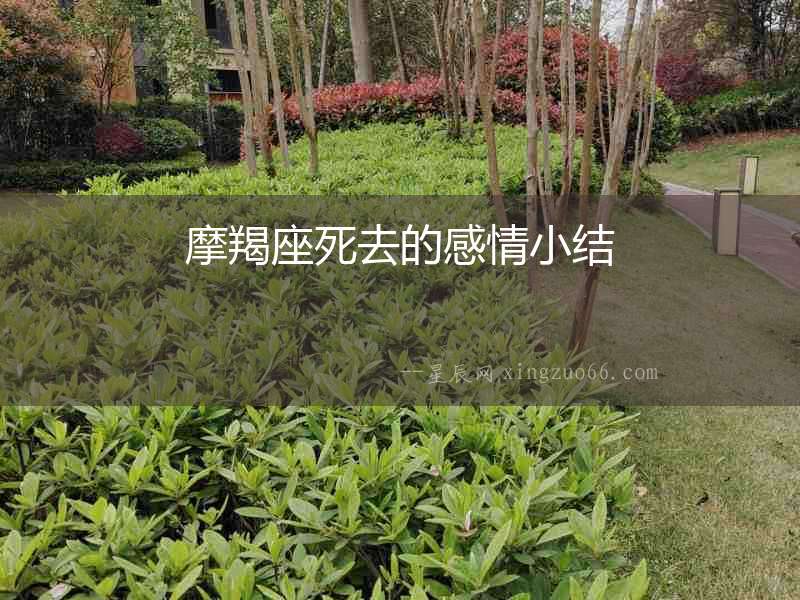 摩羯座死去的感情小結