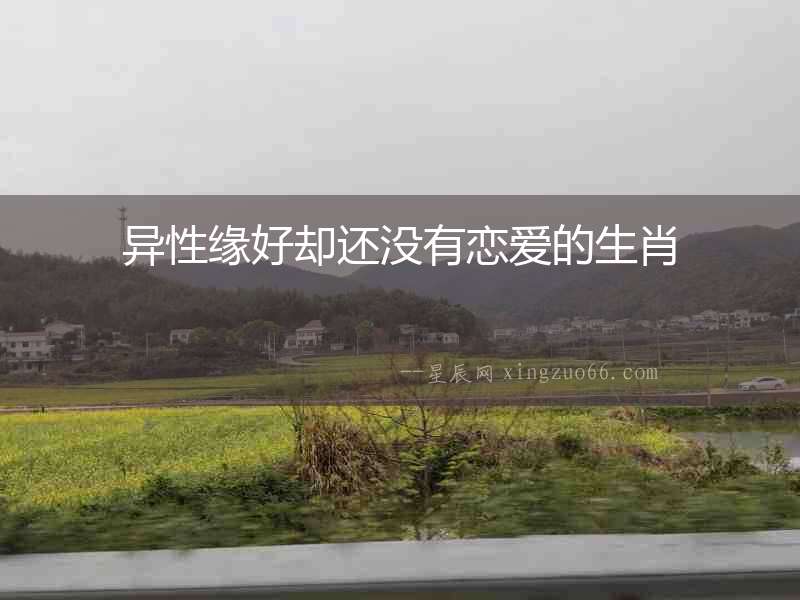 異性緣好卻還沒有戀愛的生肖
