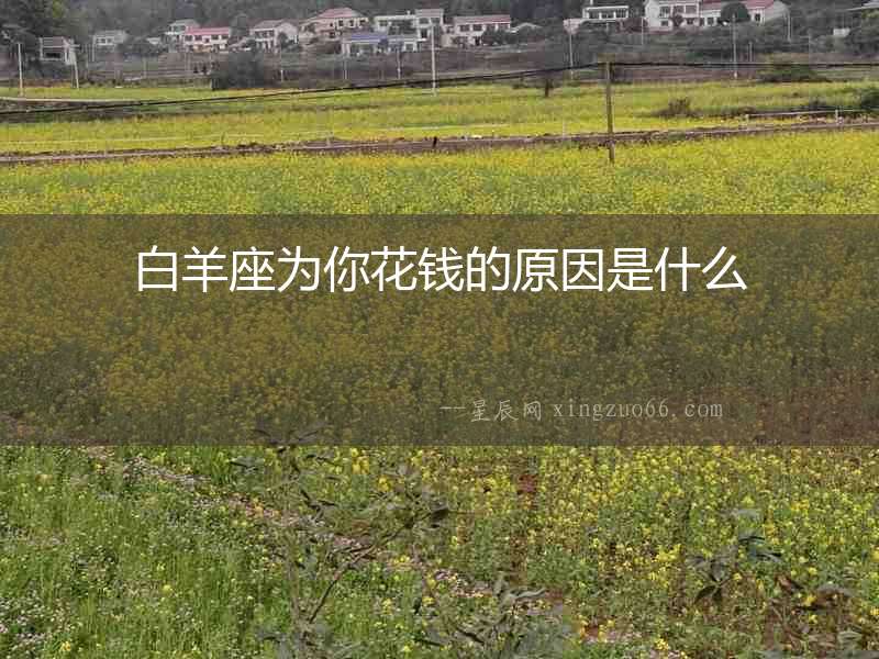 白羊座為你花錢的原因是什么