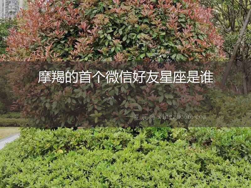 摩羯的首個微信好友星座是誰