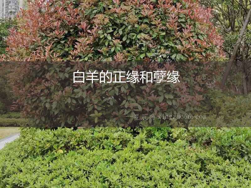 白羊的正緣和孽緣