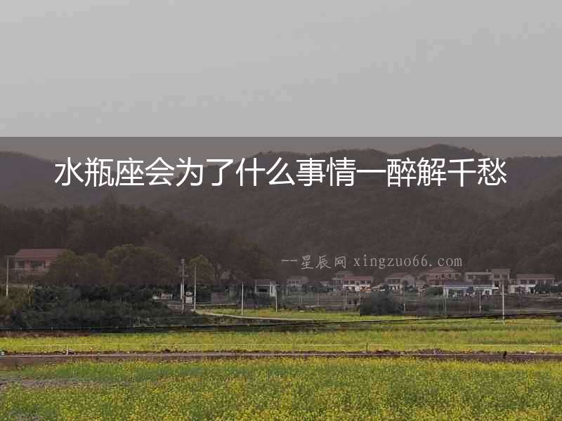 水瓶座會為了什么事情一醉解千愁