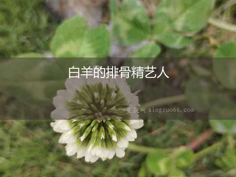 白羊的排骨精藝人