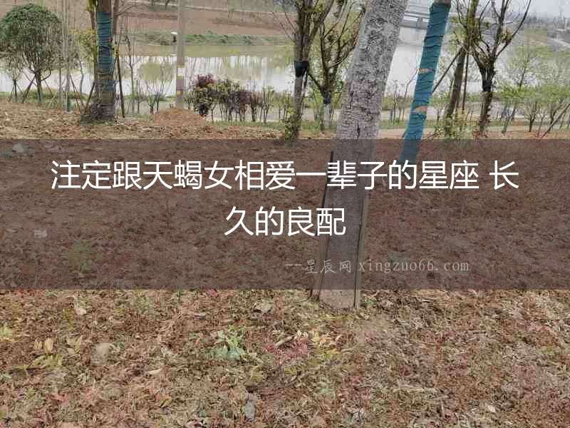 注定跟天蝎女相愛一輩子的星座 長(zhǎng)久的良配