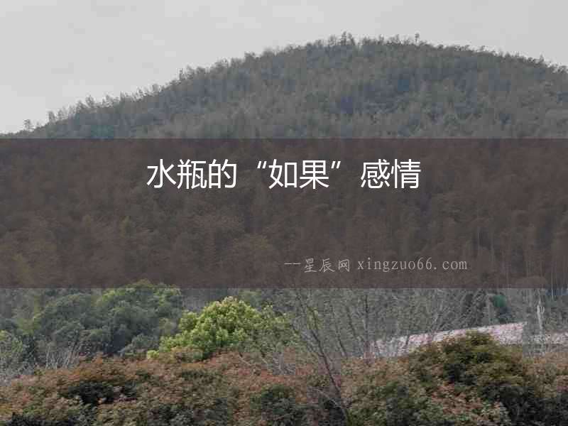 水瓶的“如果”感情