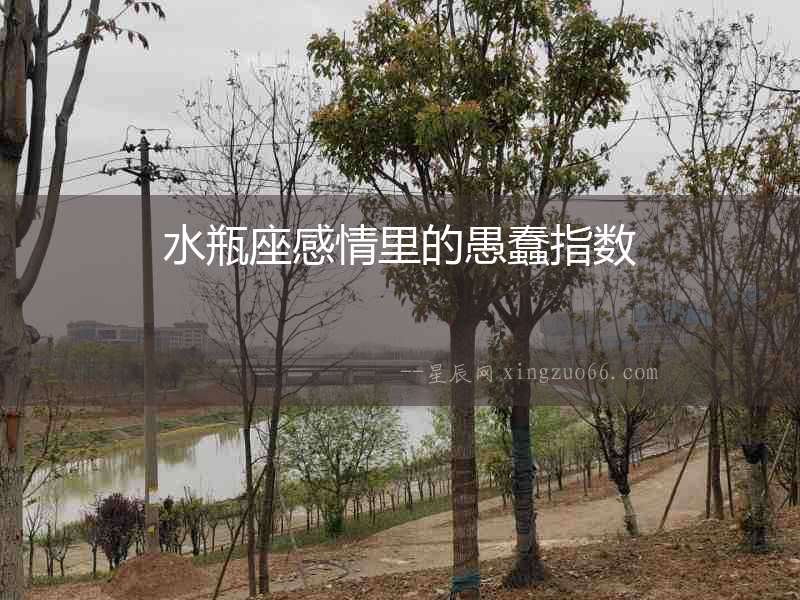 水瓶座感情里的愚蠢指數(shù)