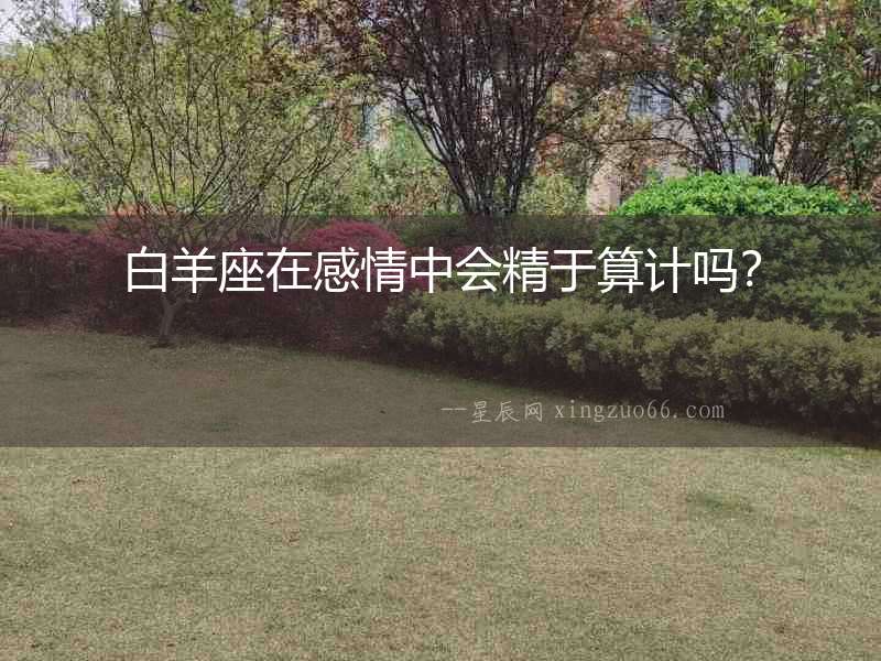 白羊座在感情中會精于算計嗎？