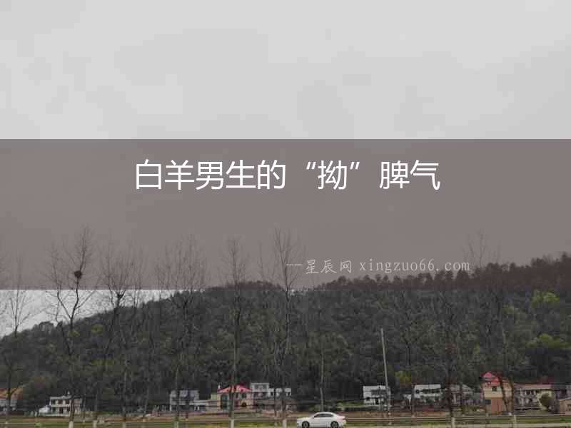 白羊男生的“拗”脾氣