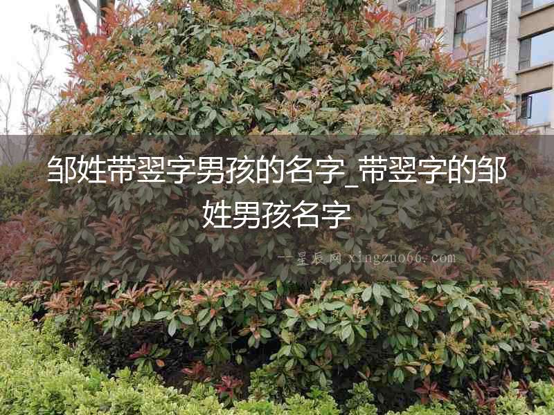 鄒姓帶翌字男孩的名字_帶翌字的鄒姓男孩名字