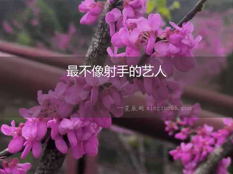 最不像射手的藝人