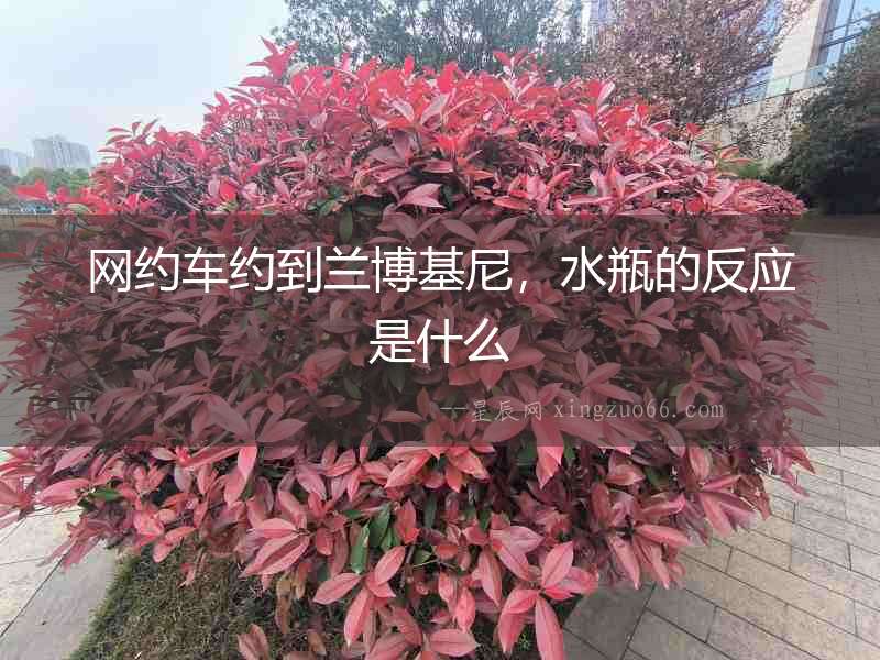 網約車約到蘭博基尼，水瓶的反應是什么