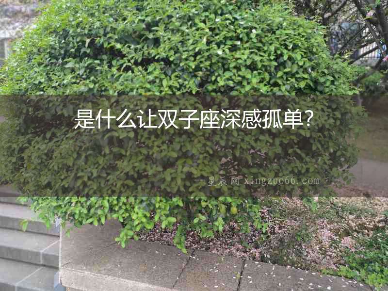 是什么讓雙子座深感孤單？