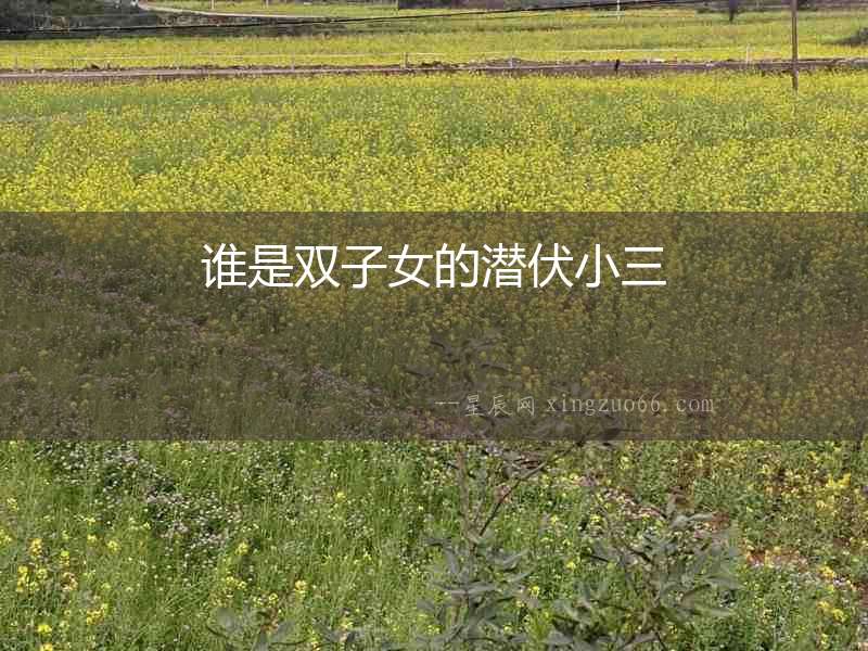 誰是雙子女的潛伏小三