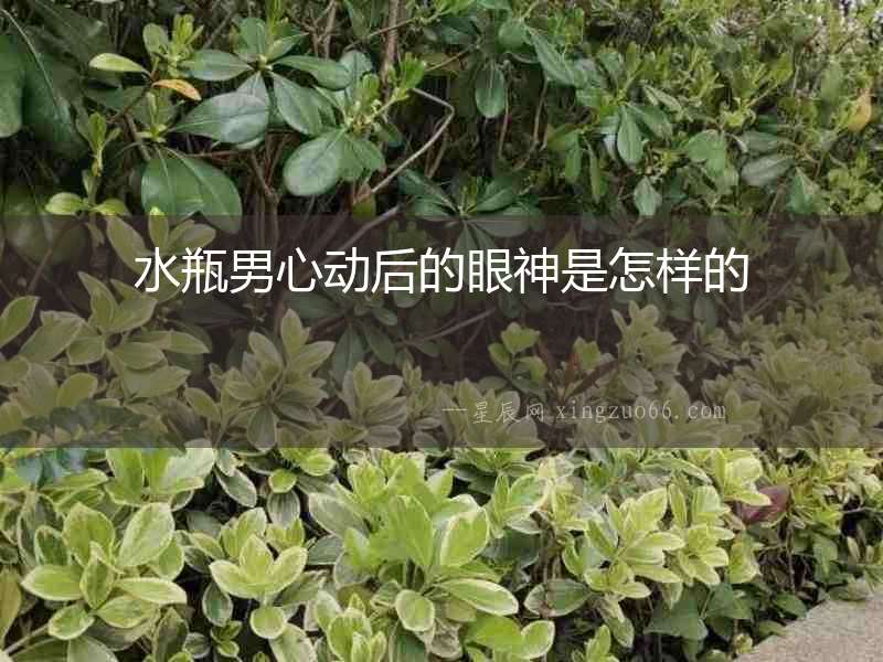 水瓶男心動后的眼神是怎樣的