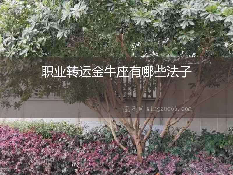 職業轉運金牛座有哪些法子
