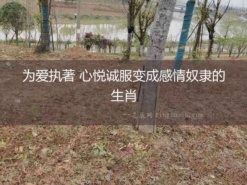 為愛執著 心悅誠服變成感情奴隸的生肖