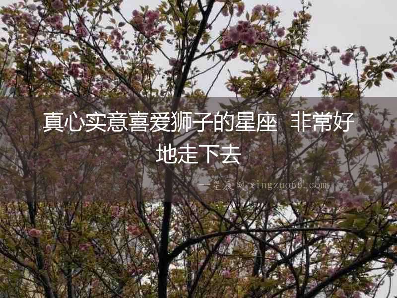 真心實(shí)意喜愛獅子的星座  非常好地走下去