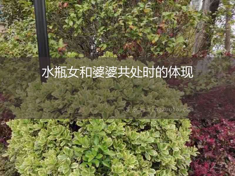 水瓶女和婆婆共處時的體現