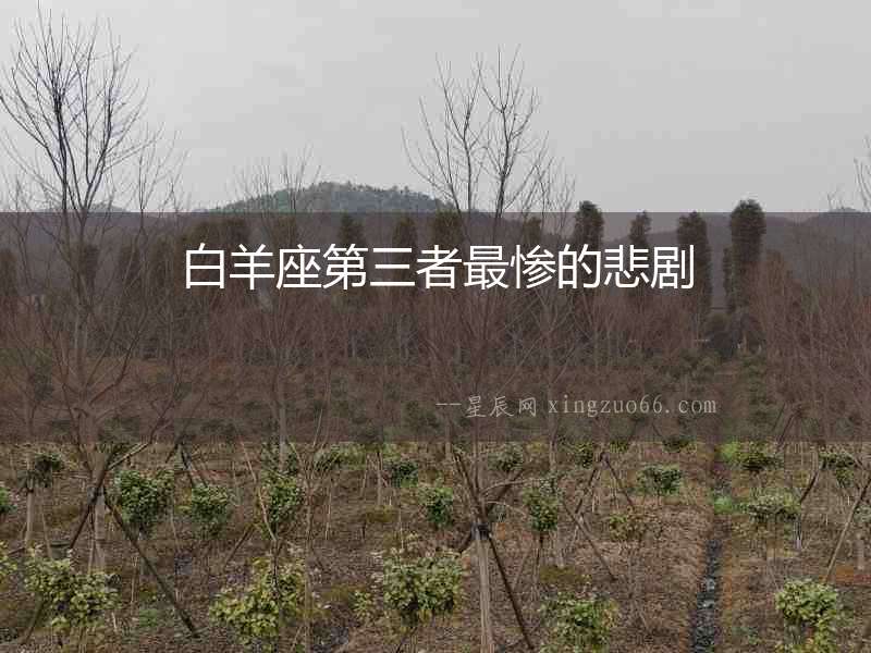 白羊座第三者最慘的悲劇