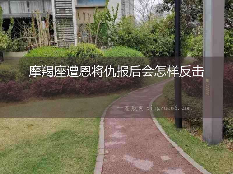 摩羯座遭恩將仇報后會怎樣反擊