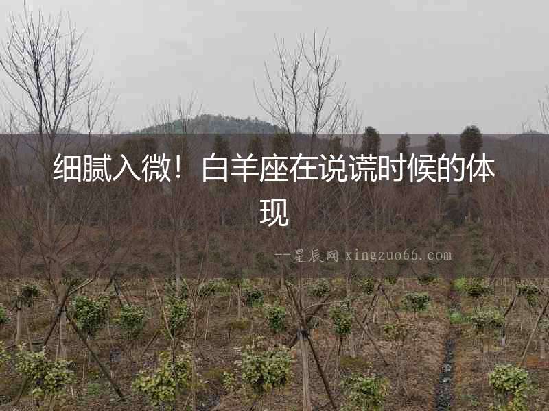 細膩入微！白羊座在說謊時候的體現