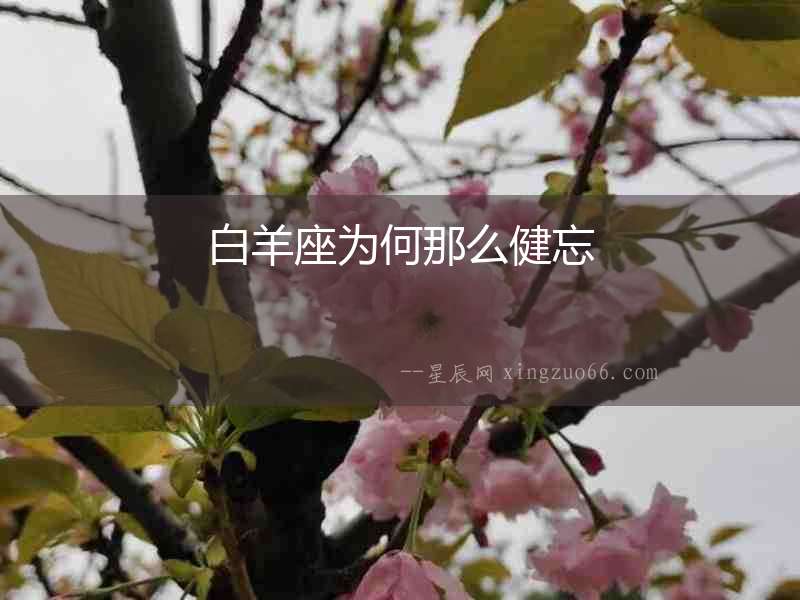 白羊座為何那么健忘