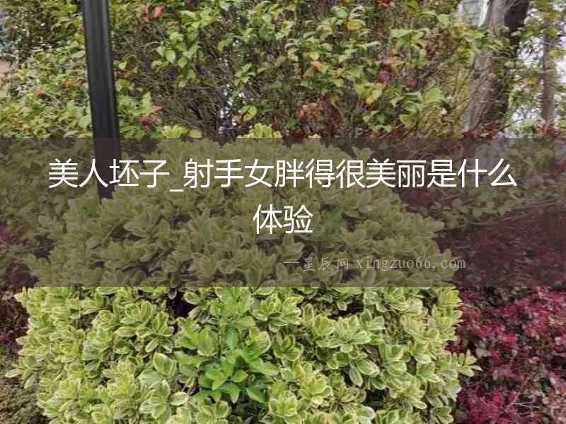 美人坯子_射手女胖得很美麗是什么體驗
