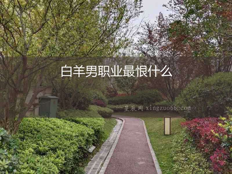 白羊男職業(yè)最恨什么