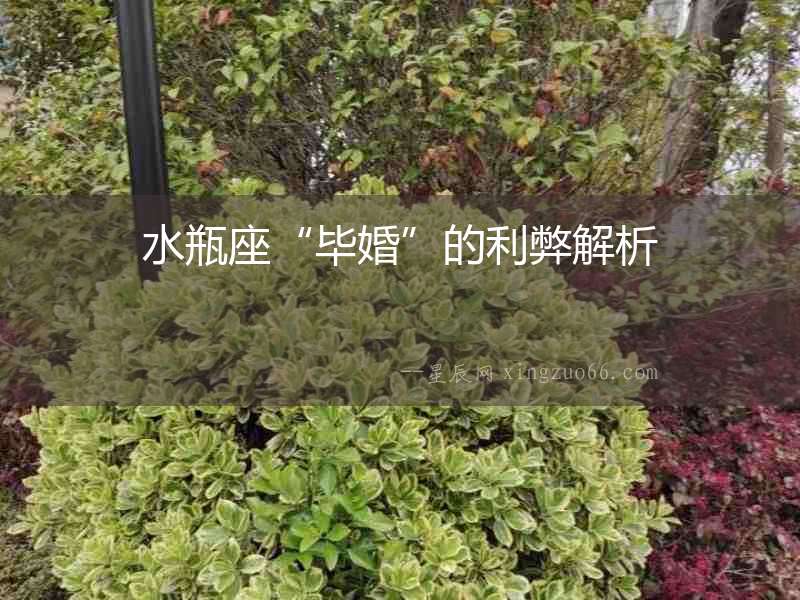 水瓶座“畢婚”的利弊解析