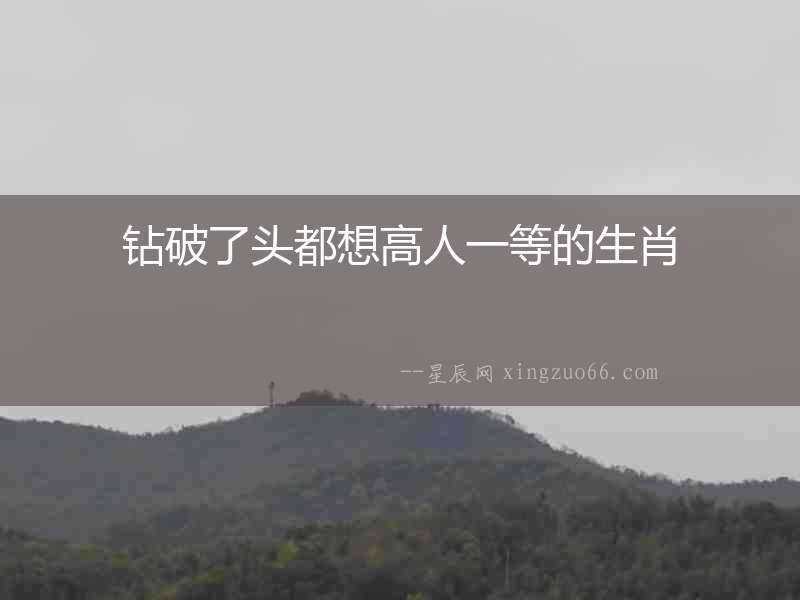 鉆破了頭都想高人一等的生肖