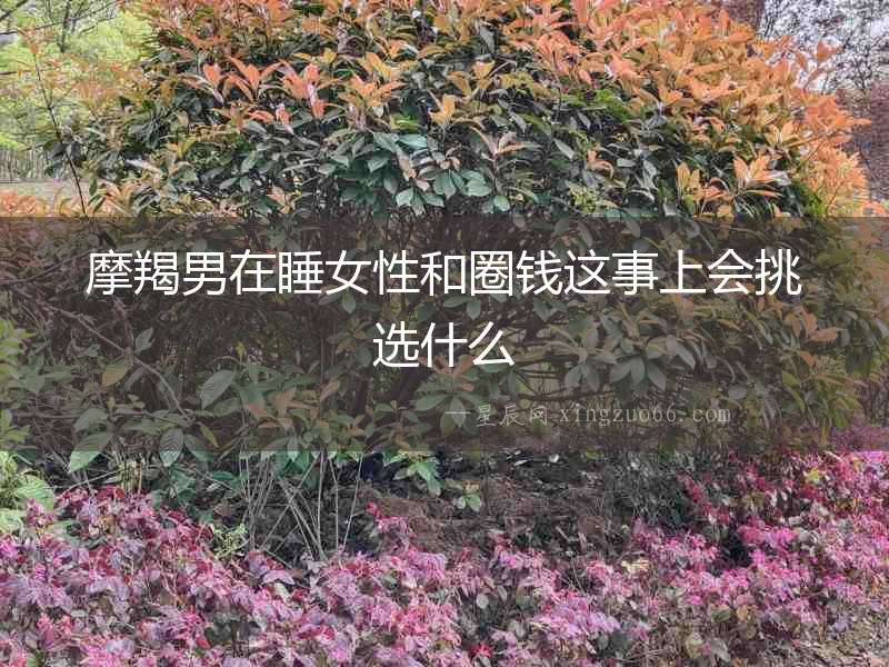 摩羯男在睡女性和圈錢這事上會挑選什么