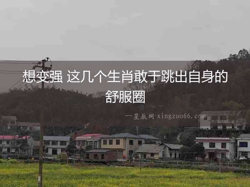 想變強 這幾個生肖敢于跳出自身的舒服圈