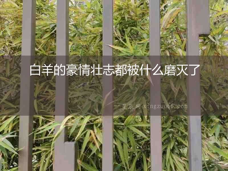 白羊的豪情壯志都被什么磨滅了